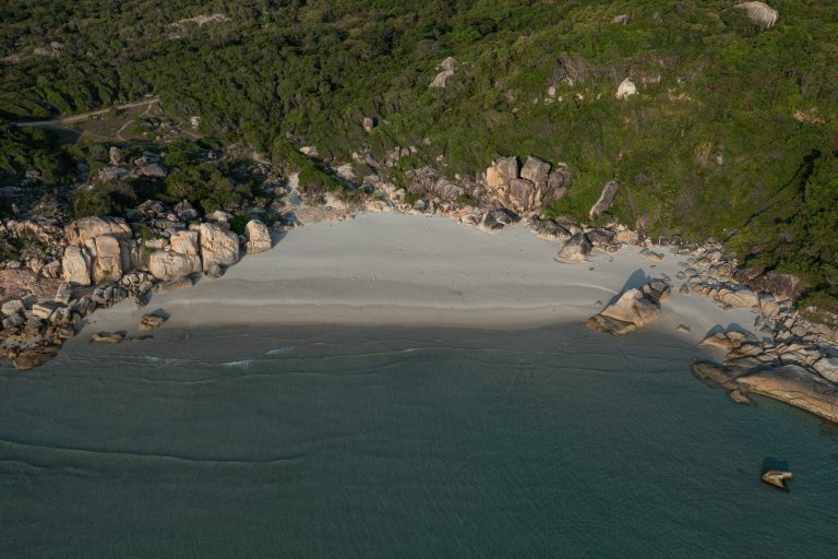 DJI_0852